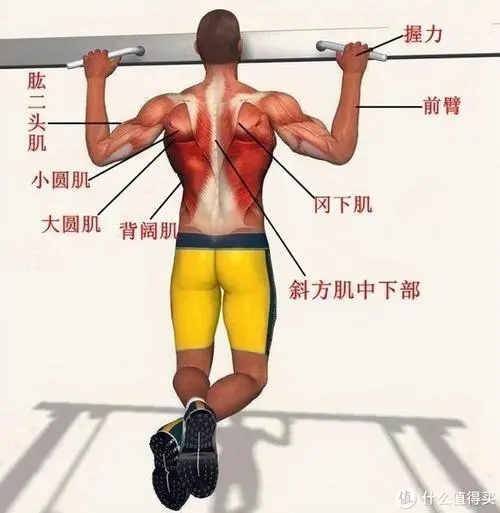 室内运动健身器